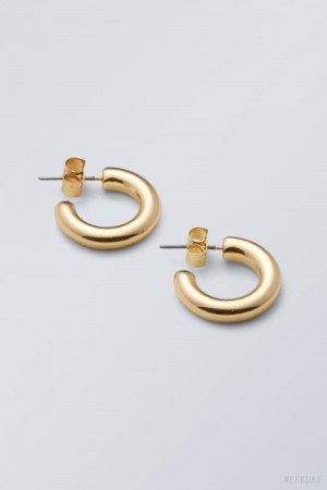 Weekday Bold Hoops Golden | XBYJ4106